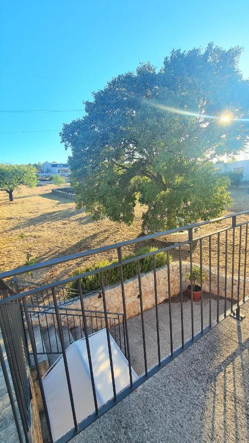 שיבניק Holiday House Bleki מראה חיצוני תמונה